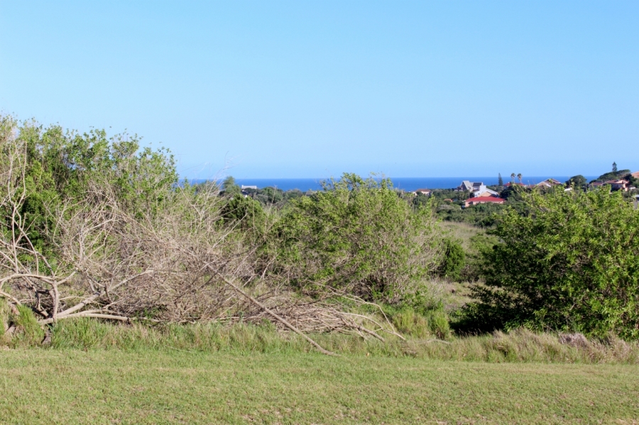 0 Bedroom Property for Sale in Forest Downs Eastern Cape